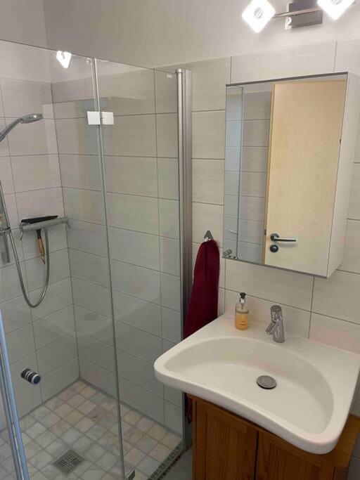 Apartment Ruhige, Gemuetliche 1-zimmer-wohnung Nahe Ffm