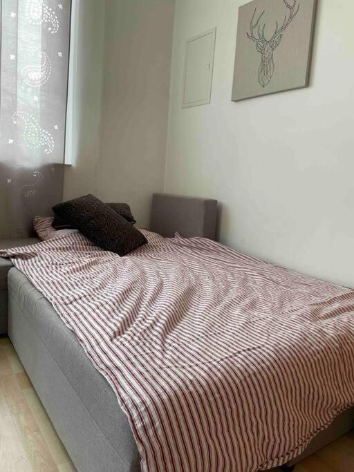 Ruhige, Gemuetliche 1-zimmer-wohnung Nahe Ffm Apartment Bad Vilbel