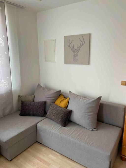 Ruhige, Gemuetliche 1-zimmer-wohnung Nahe Ffm Bad Vilbel