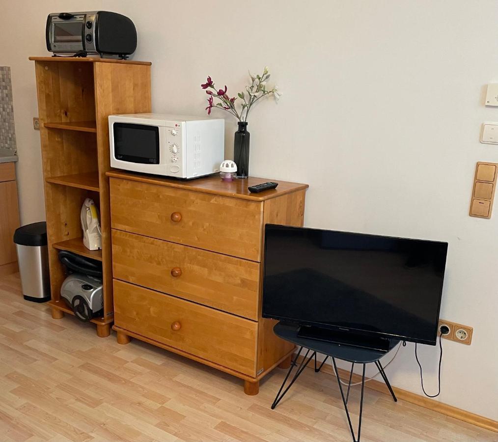 Ruhige, Gemuetliche 1-zimmer-wohnung Nahe Ffm Apartment
